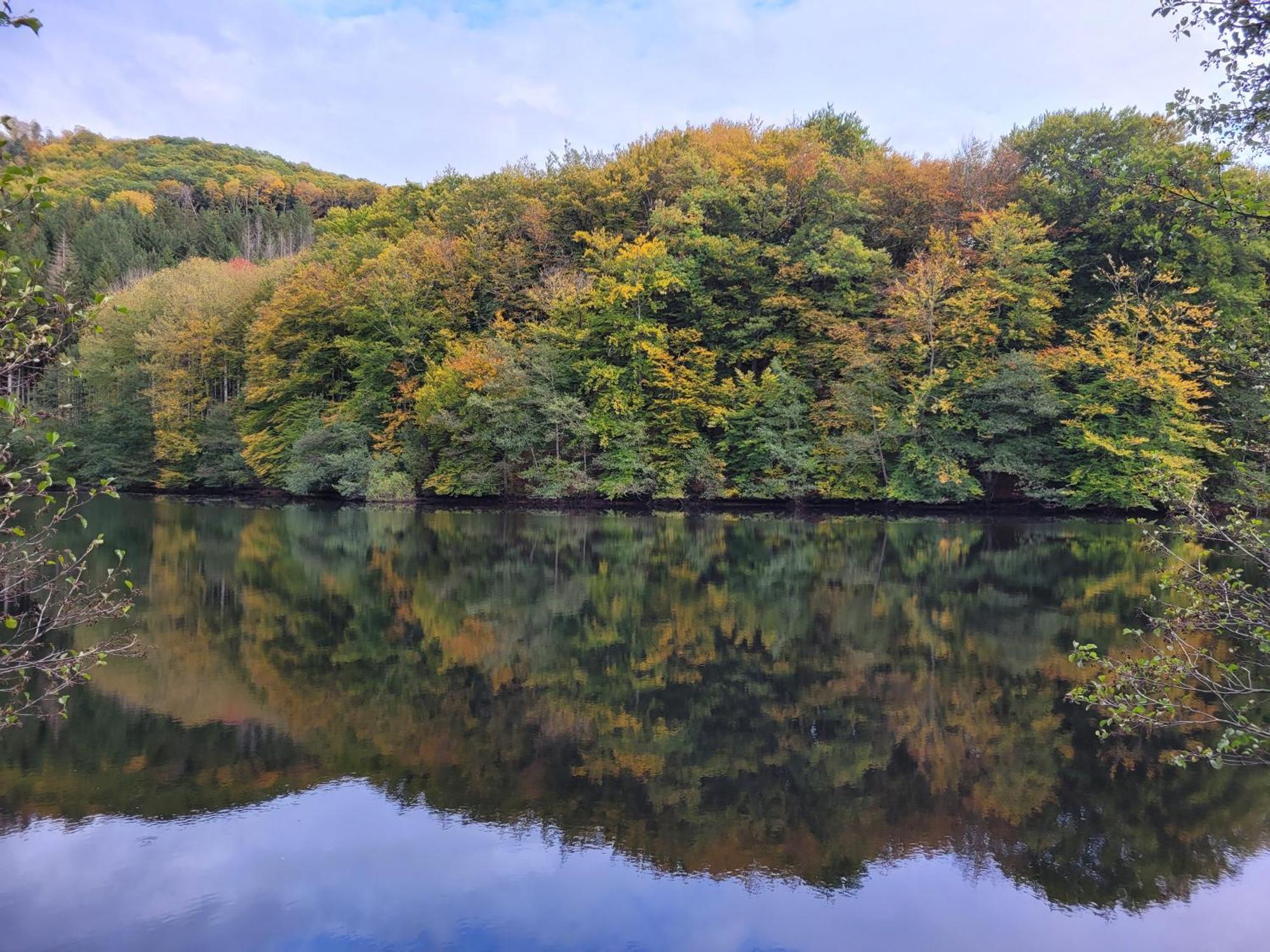 Le Lac Des Moines Condat  Exterior foto