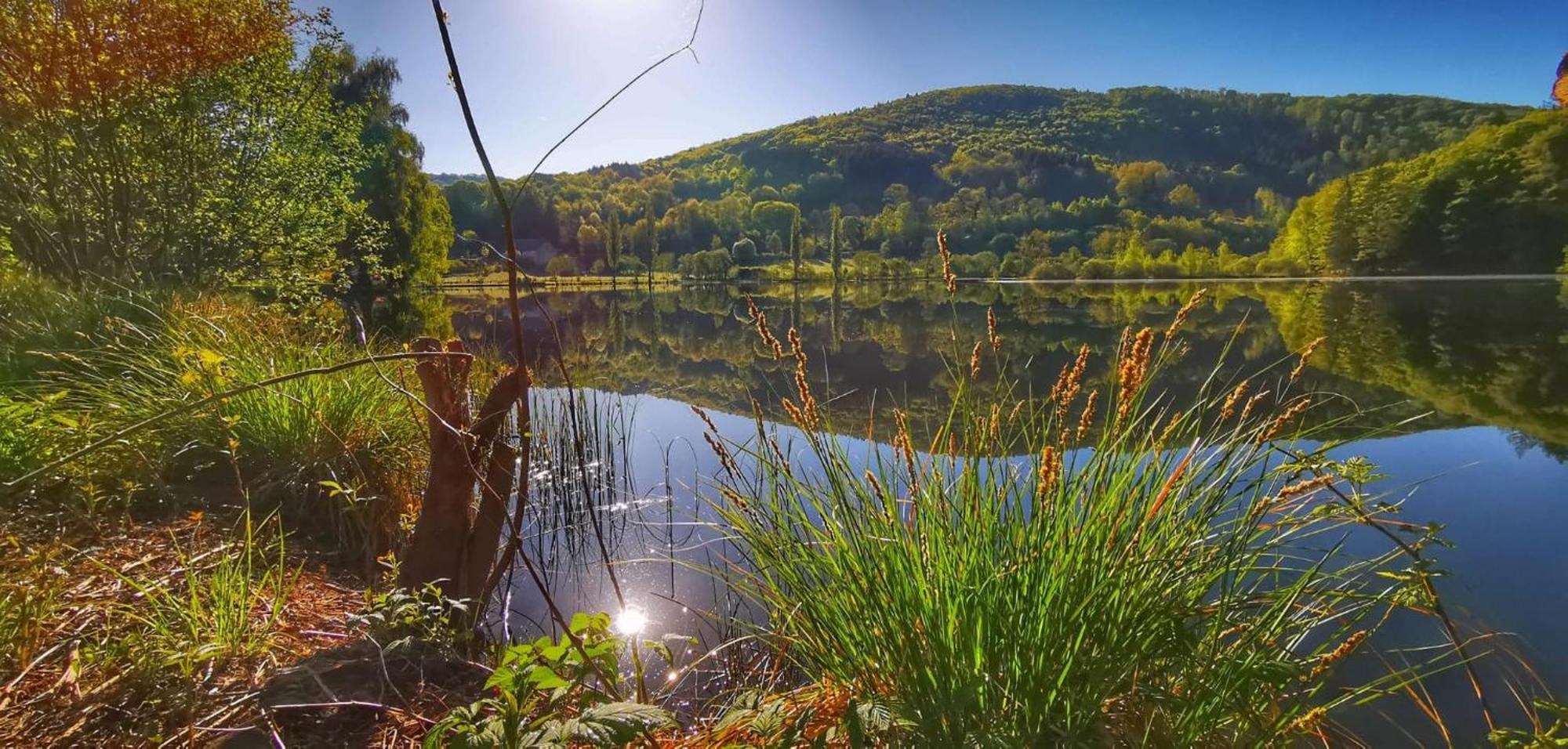 Le Lac Des Moines Condat  Exterior foto